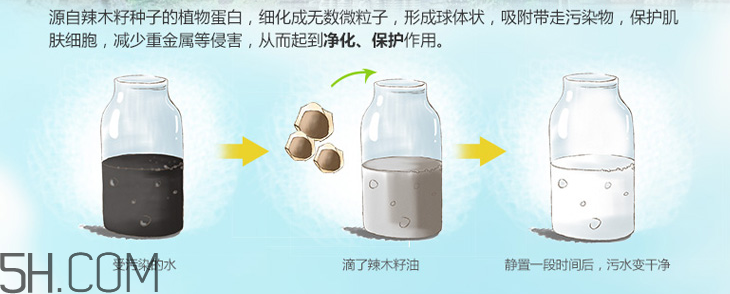 韓后綠茶舒顏清新卸妝水