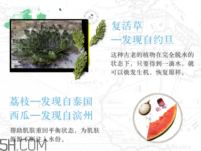 悅木之源復(fù)活草水潤修護精華水